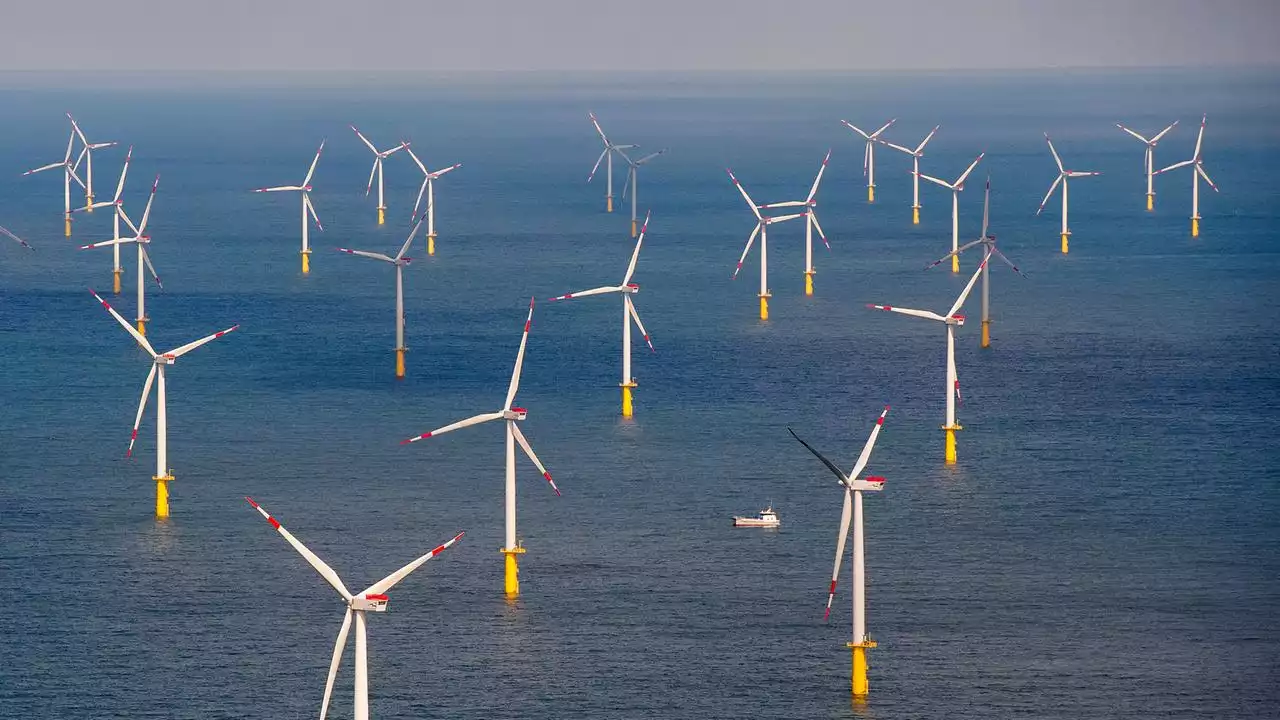 Windkraft: Auktion von Offshore-Parks bringt Milliarden