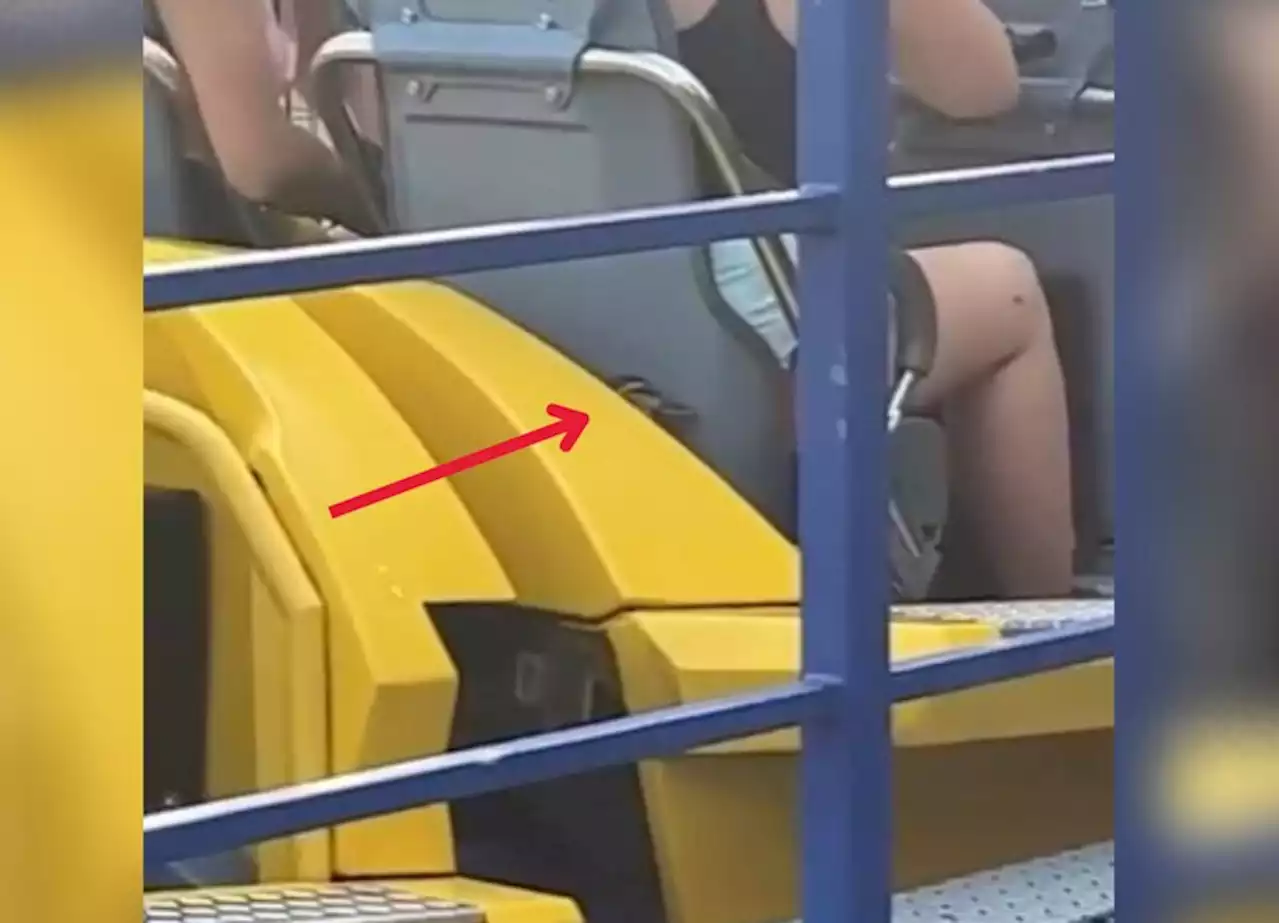 Duck goes for a ride on Cedar Point roller coaster that reaches 93 mph