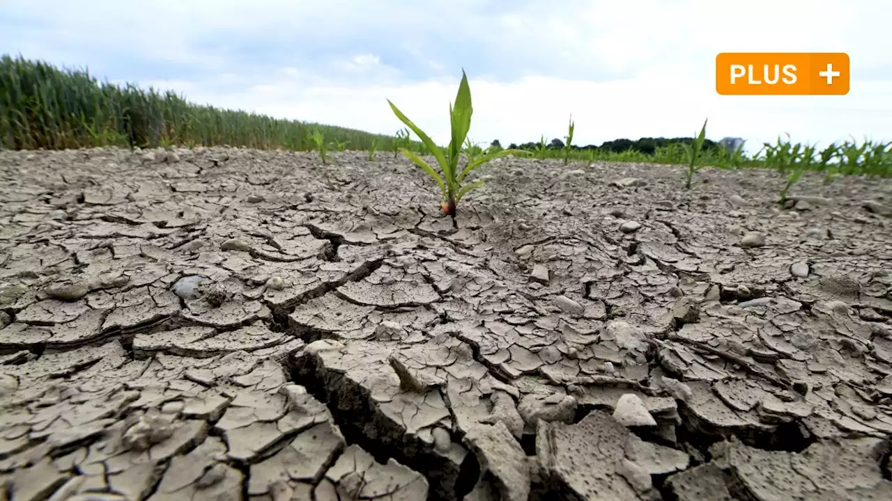 Hitze, Dürre, Hochwasser: Wie die Region auf Klimafolgen vorbereitet ist