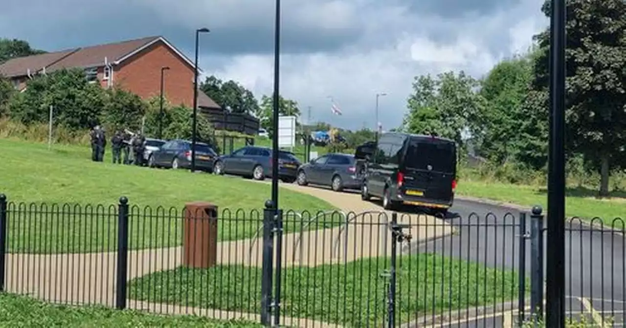 Glencairn: Police carry out searches close to North Belfast play park