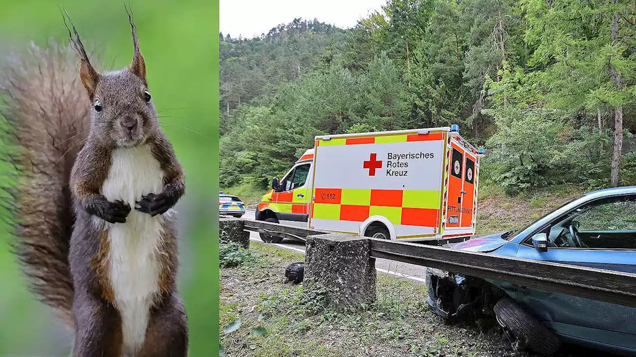 Karlstein: Einheimische weicht bei Bad Reichenhall Eichhörnchen aus und prallt in Leitplanke