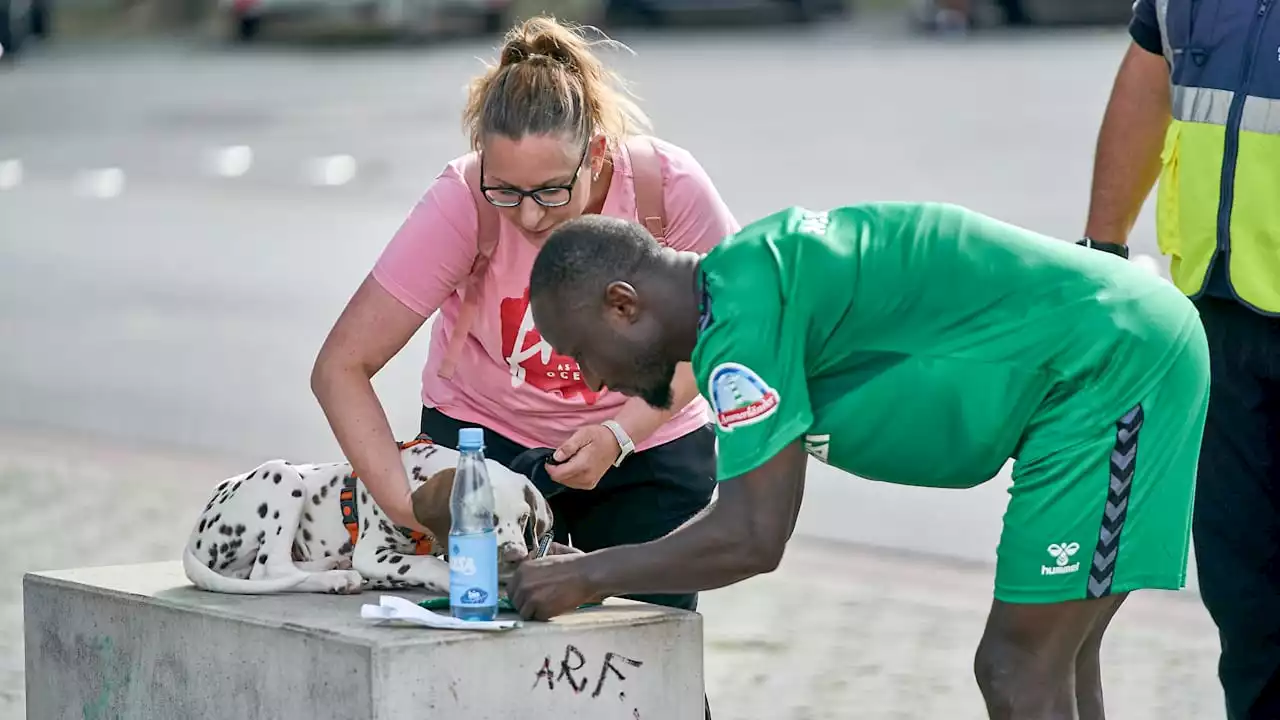 Werder Bremen: Heiß auf mehr Punkte? Naby Keïta unterschreibt beim Dalmatiner