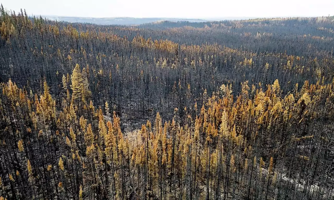 B.C. drought update highlights low stream flows, vast areas of drought