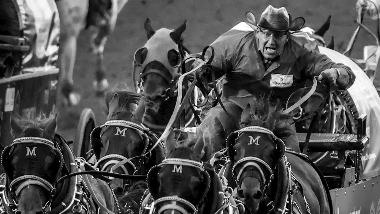 Calgary Stampede: The faces of chuckwagon racing