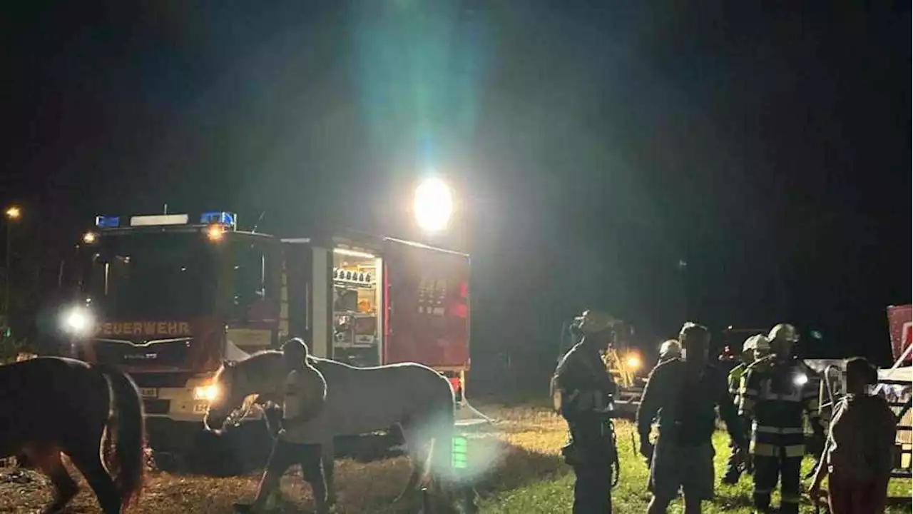 Rosenheim: Unwetter sorgt für Chaos - auch beim Zirkus Baldoni