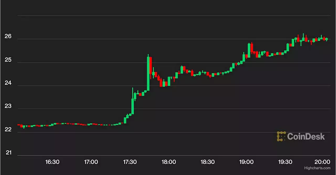 SOL, MATIC, ADA Tokens Surge Following XRP Ruling