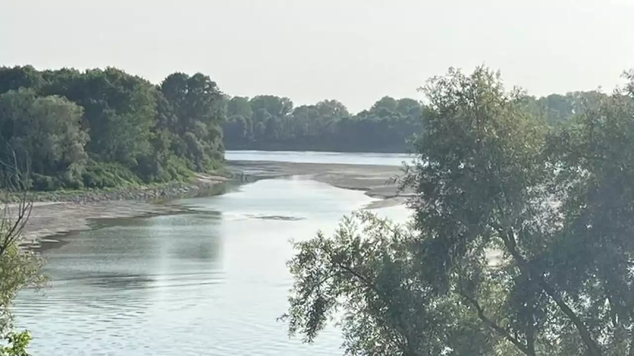 Borgo Mantovano, si tuffano nel Po ma non riemergono: si cercano due fratelli ventenni