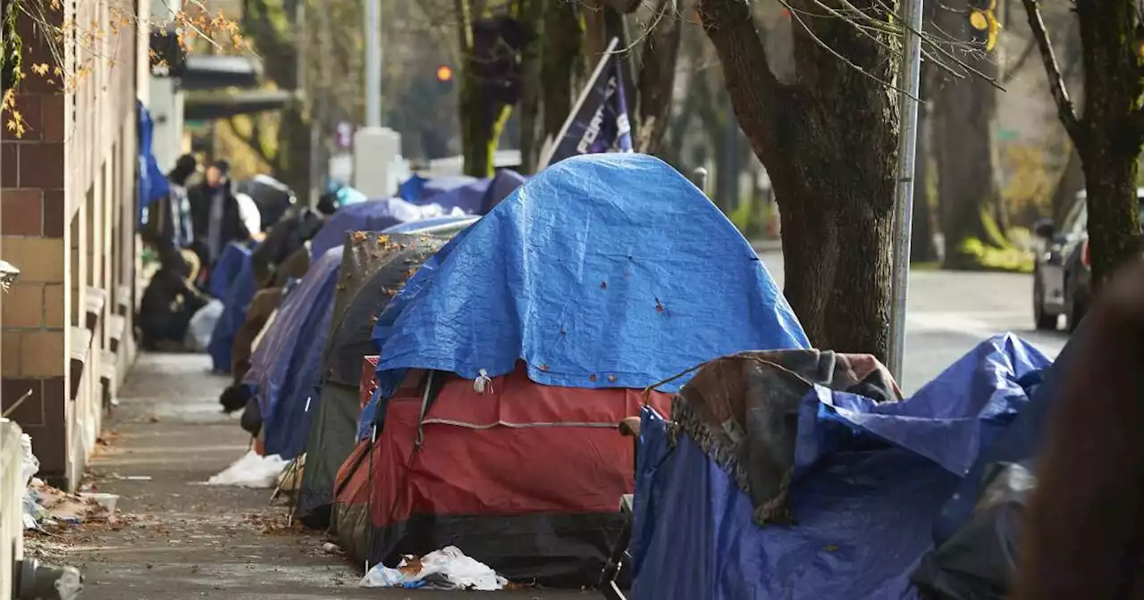 Neighbors outraged after drug-riddled Seattle encampment gets swimming pool