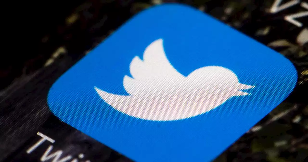 Twitter says it limited the reach of over 700,000 tweets that violated its policy | Engadget