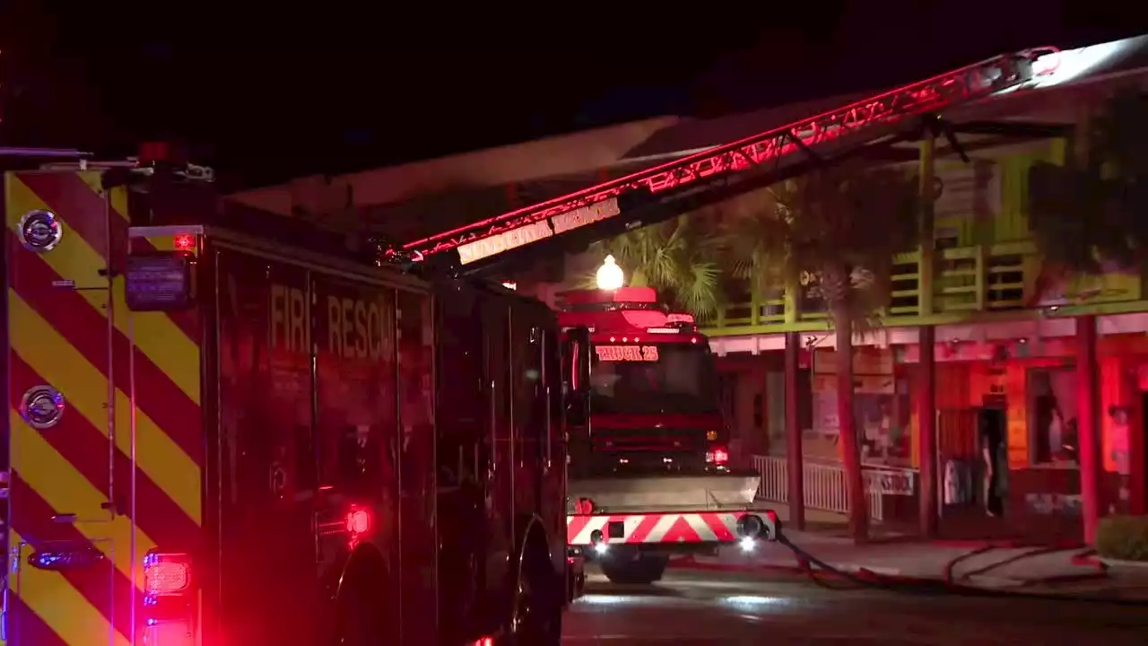 Dozens of animals killed in fire at Alligator Wildlife Discovery Center in Madeira Beach: ‘It’s devastating’