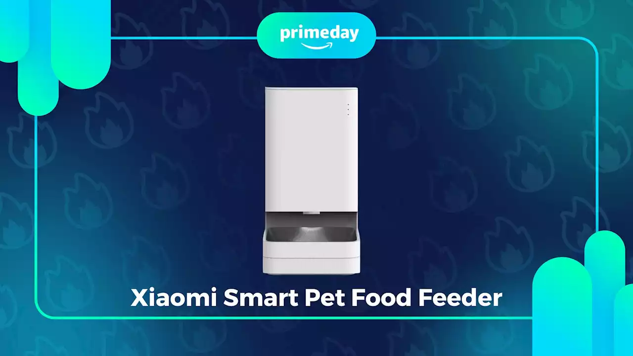 Ce distributeur de croquettes connecté voit son prix fondre pendant le Prime Day