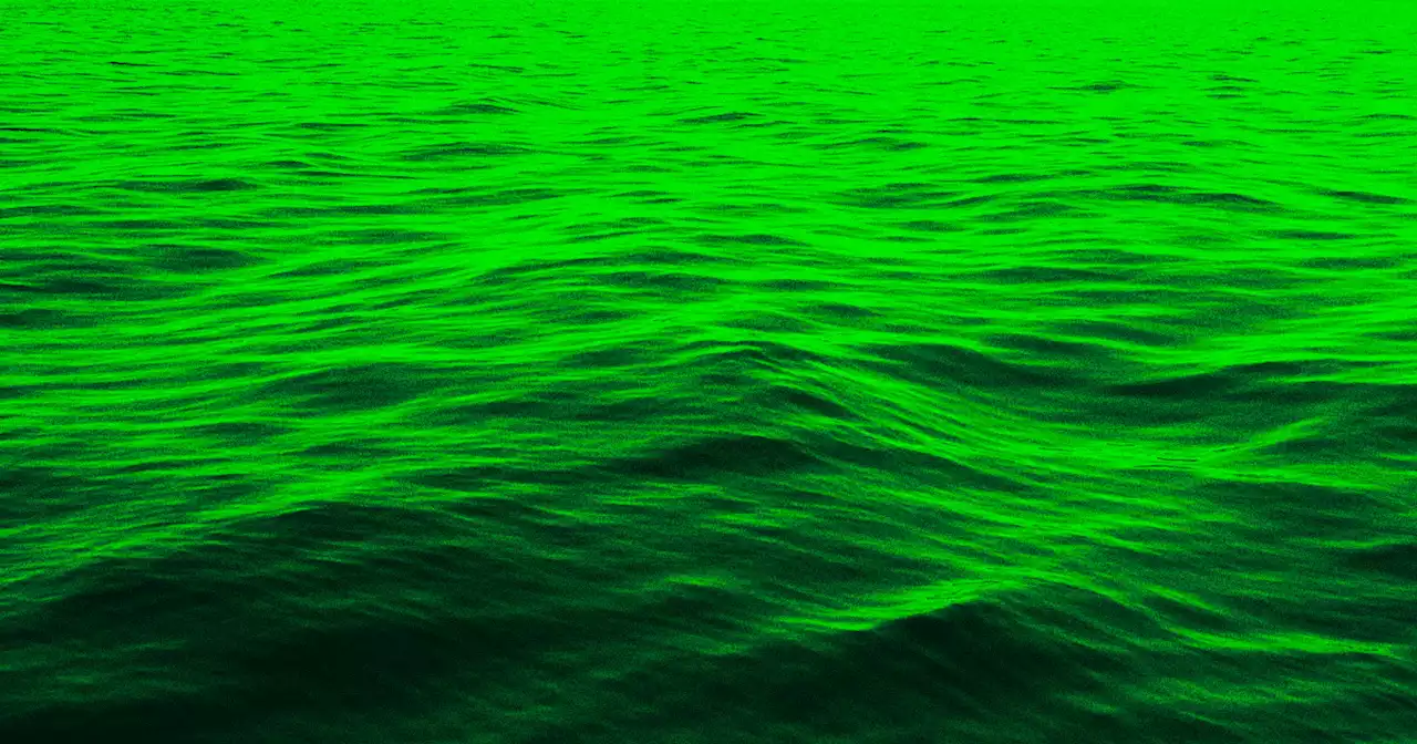 Climate Change Is Getting So Bad That the Ocean Is Changing Color