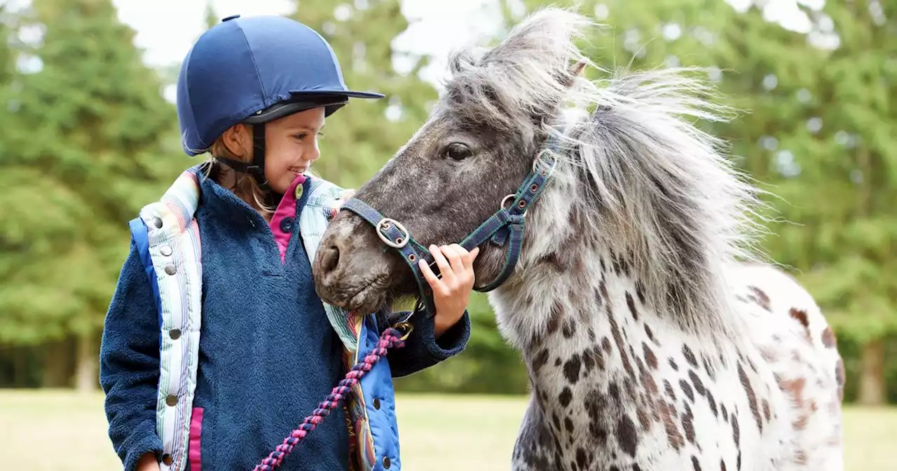 Eight free family fun days launch amid cost of living crisis