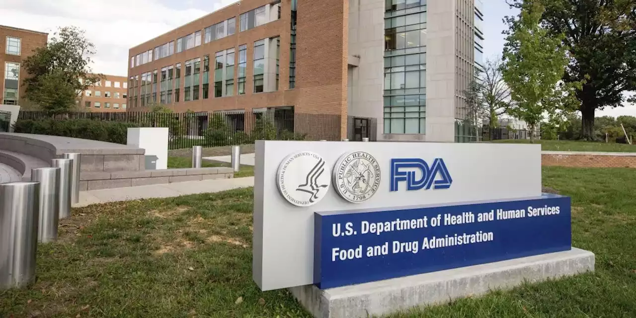 La Food and Drug Administration ha approvato per la prima volta la vendita di una pillola anticoncezionale senza ricetta negli Stati Uniti - Il Post