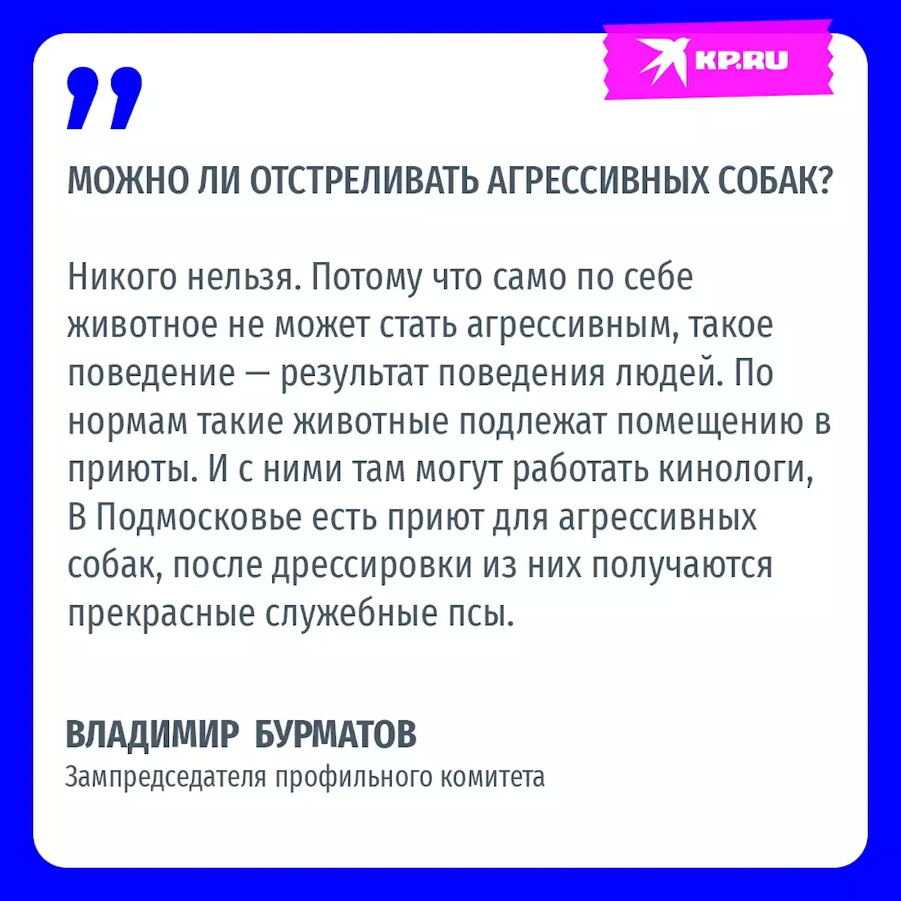 Запрет на самовыгул домашних животных в России в 2023 году: что изменит новый закон о правилах обращения с животными, как гулять с собаками и кошками