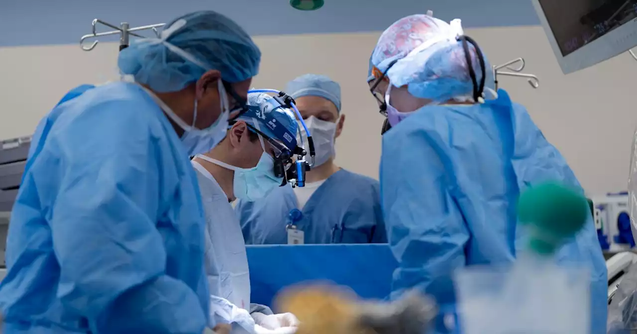 Surgeons at Dell Children’s complete Texas' first partial heart transplant on a child