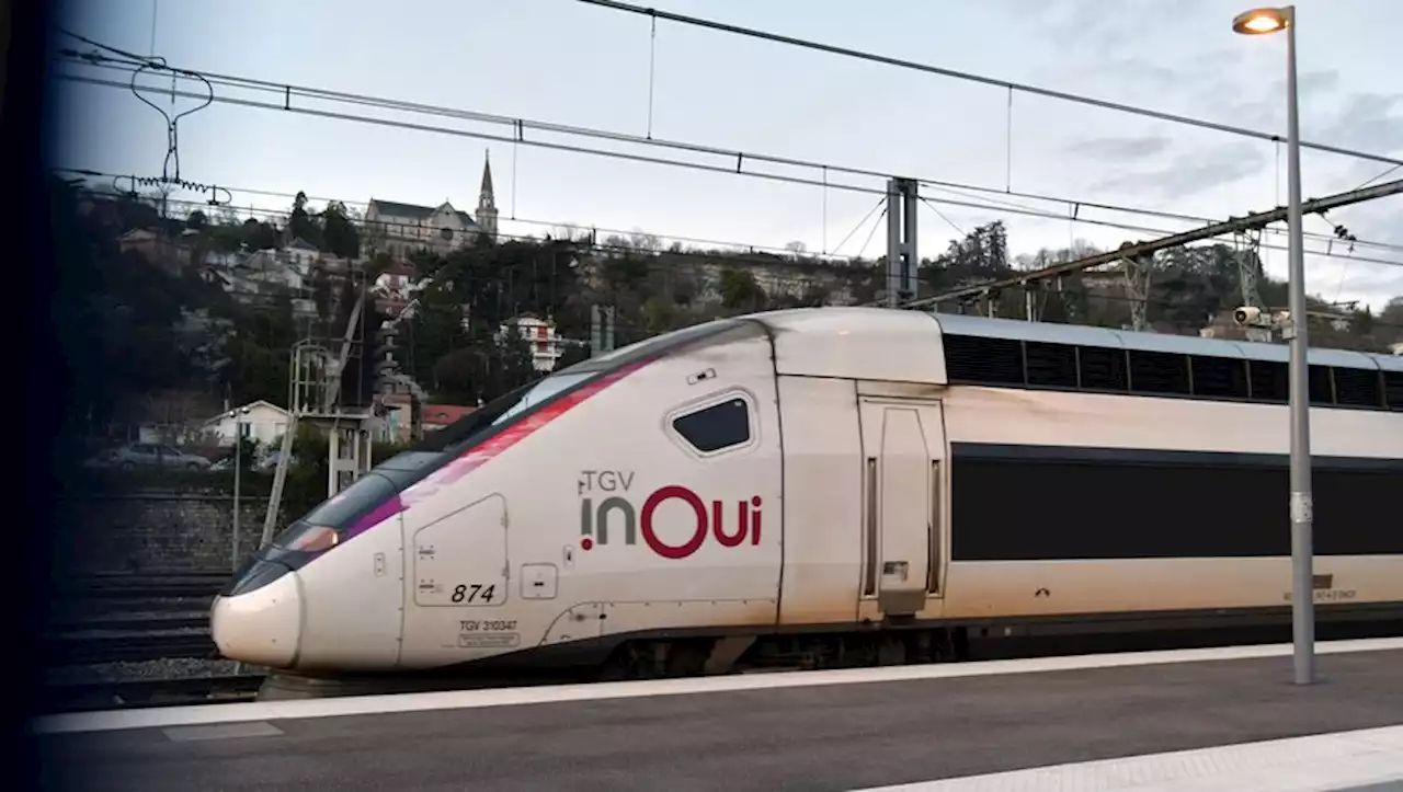 Agressif, il tente de désarmer un policier en civil dans un train, un coup de feu part.... le TGV Milan-Paris immobilisé