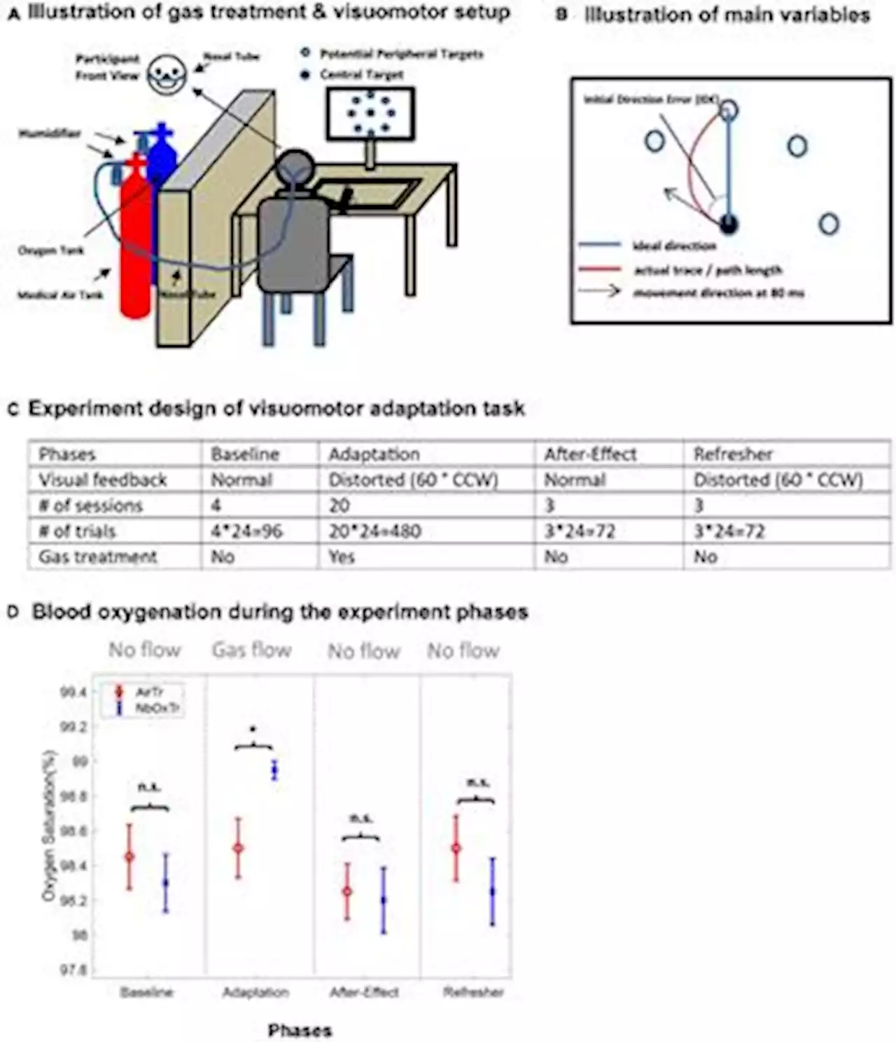 Frontiers | Boost your brain: a simple 100% normobaric oxygen treatment improves human motor learning processes