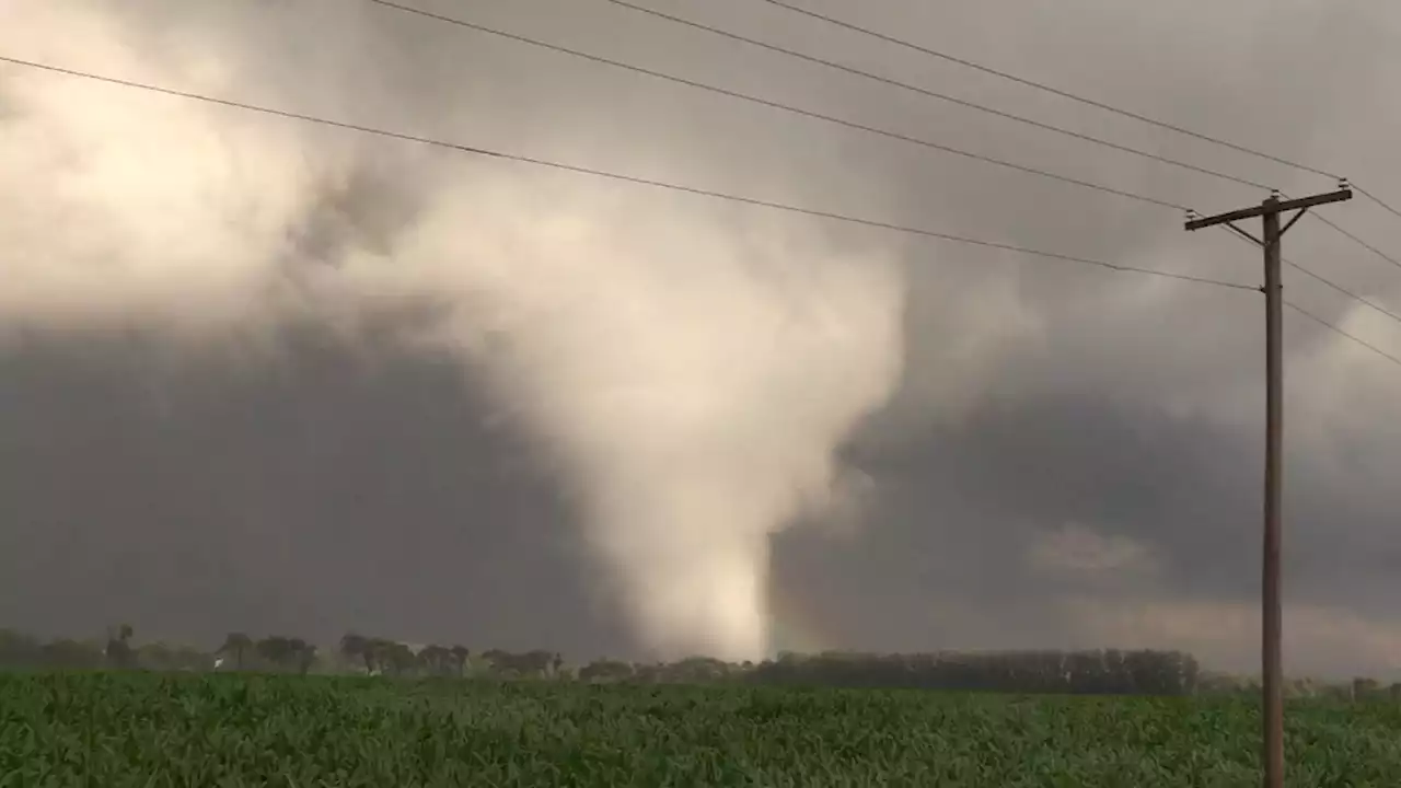 WATCH: 7 wild videos that show Illinois tornadoes form, severe weather, storm damage