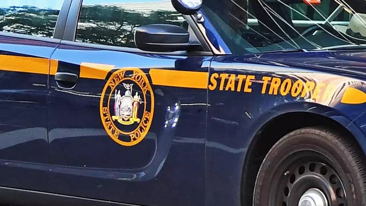 Skeletal remains found in woods off Long Island highway: State Police