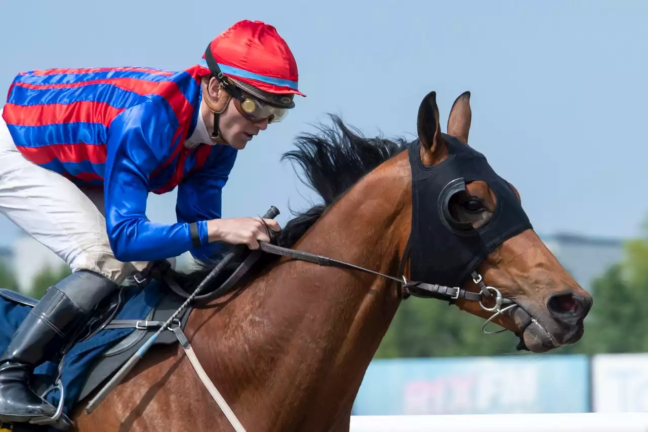 Flott galoppkveld på Klampenborg