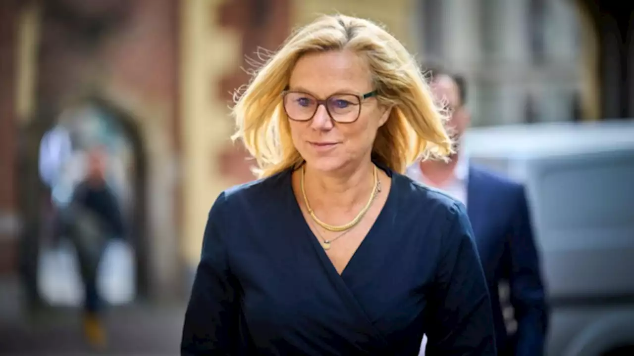 Kaag vertrekt als D66-leider: 'Werk was te belastend voor het gezin'