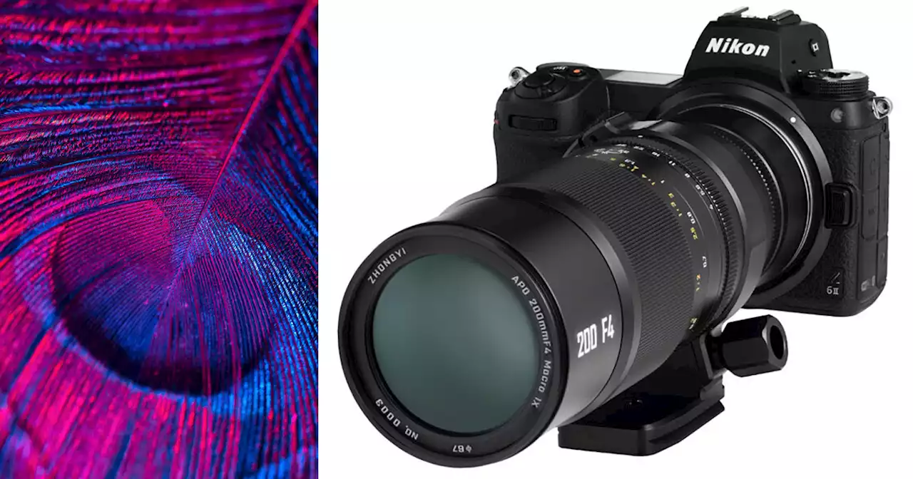 The ZY Optics 200mm f/4 Addresses Demand for a Telephoto Macro Lens