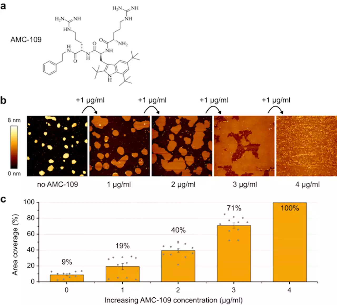 Lateral membrane organization as target of an antimicrobial peptidomimetic compound - Nature Communications