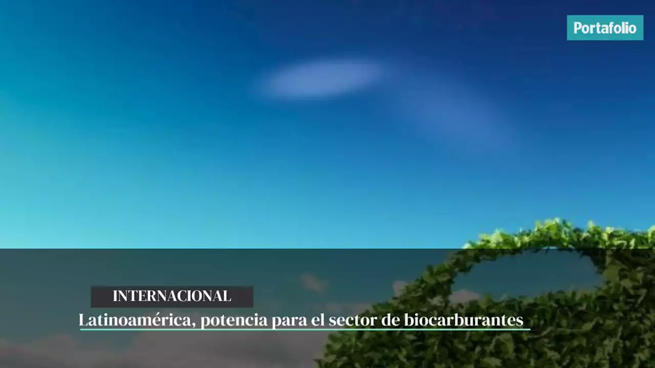 Latinoamérica, potencia para el sector de biocarburantes