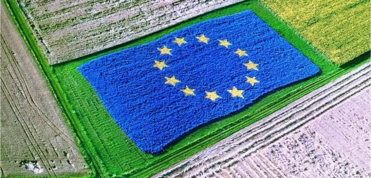 EU-Parlament für Naturschutzgesetz