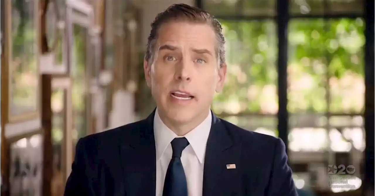 Can You Guess Which Hunter Biden Stories Are True?