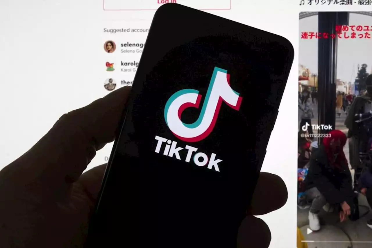 Feds doing 'broader review' of social media after banning TikTok from work devices