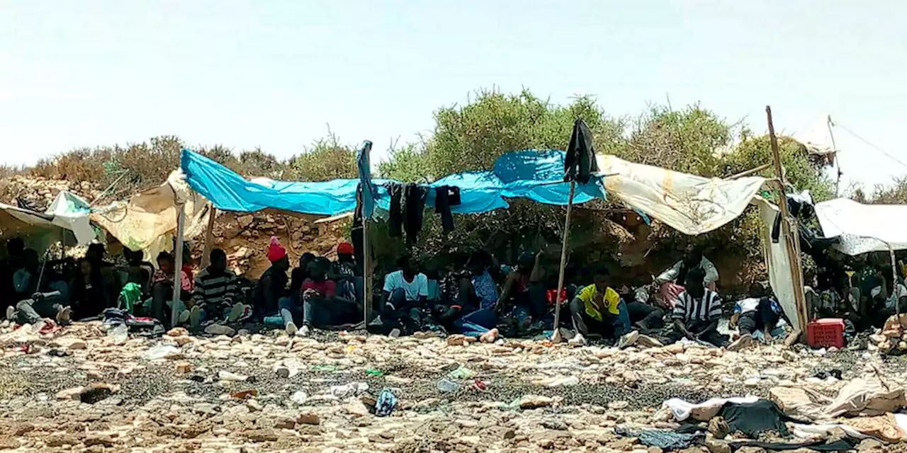 Deportierte Migranten in Tunesien: Wo sind die aus Sfax Vertriebenen?