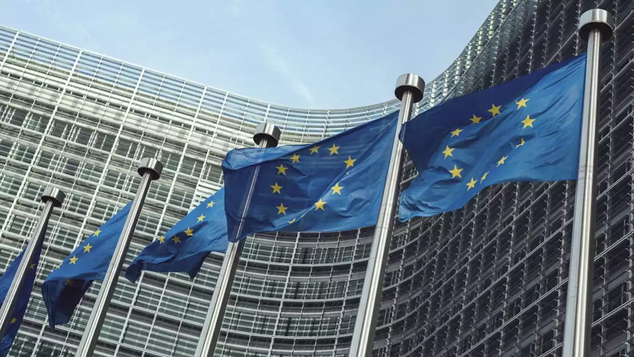 EU regulator says 'no such thing as a safe crypto-asset'