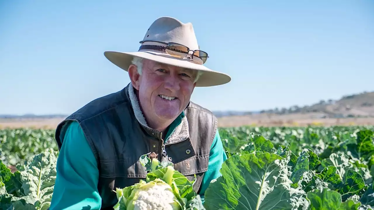 As a possible El Niño looms, what will this mean for the people growing your food?