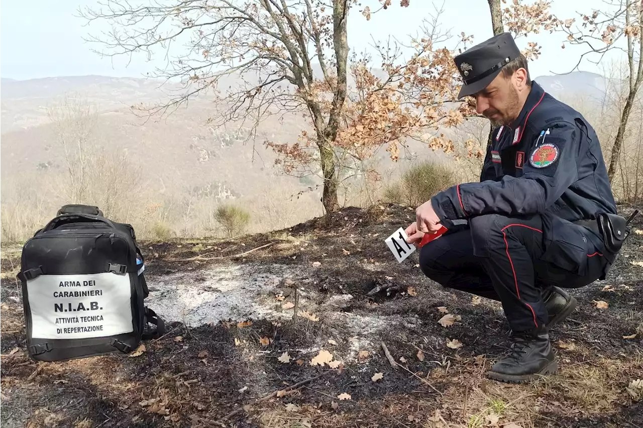 Incendi, Cc forestali: 'Mai così pochi ma con siccità e alte temperature rischio si può impennare'