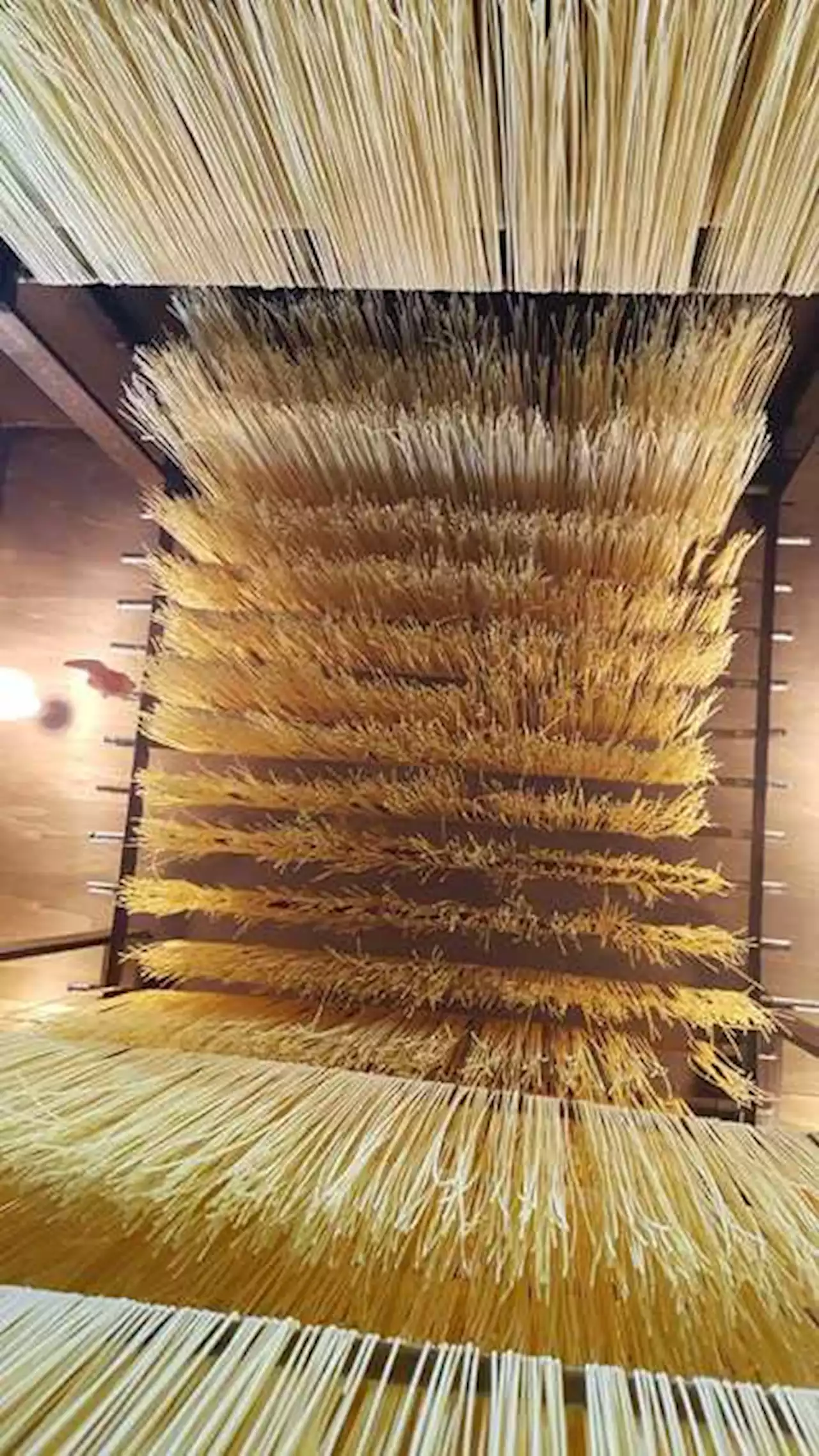 A Gragnano arriva il museo della pasta - Notizie - Ansa.it