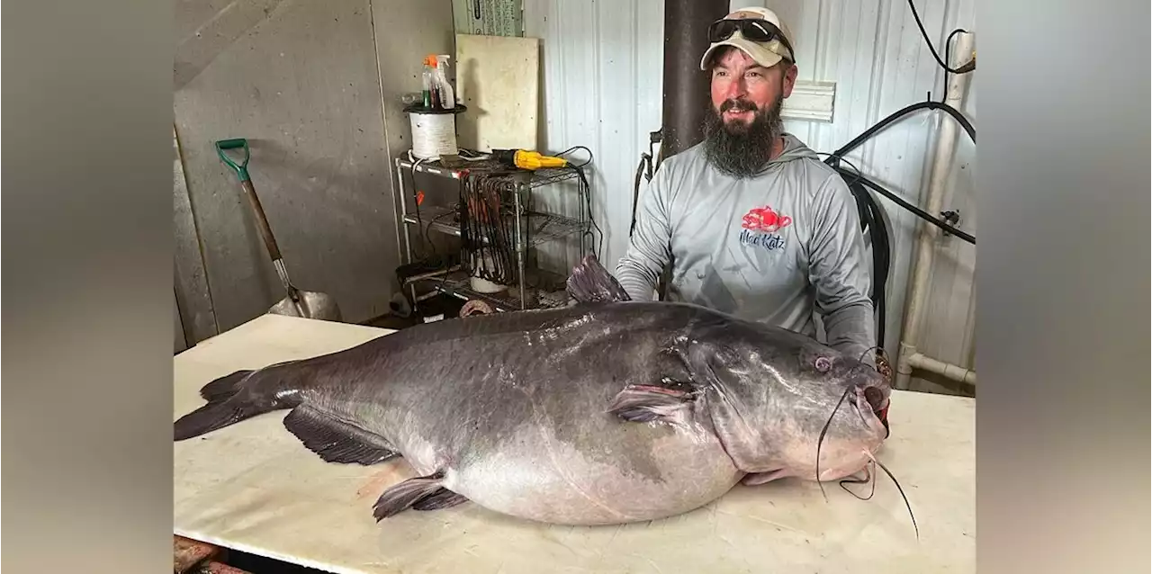 Man breaks his own state record by catching massive 122-pound catfish