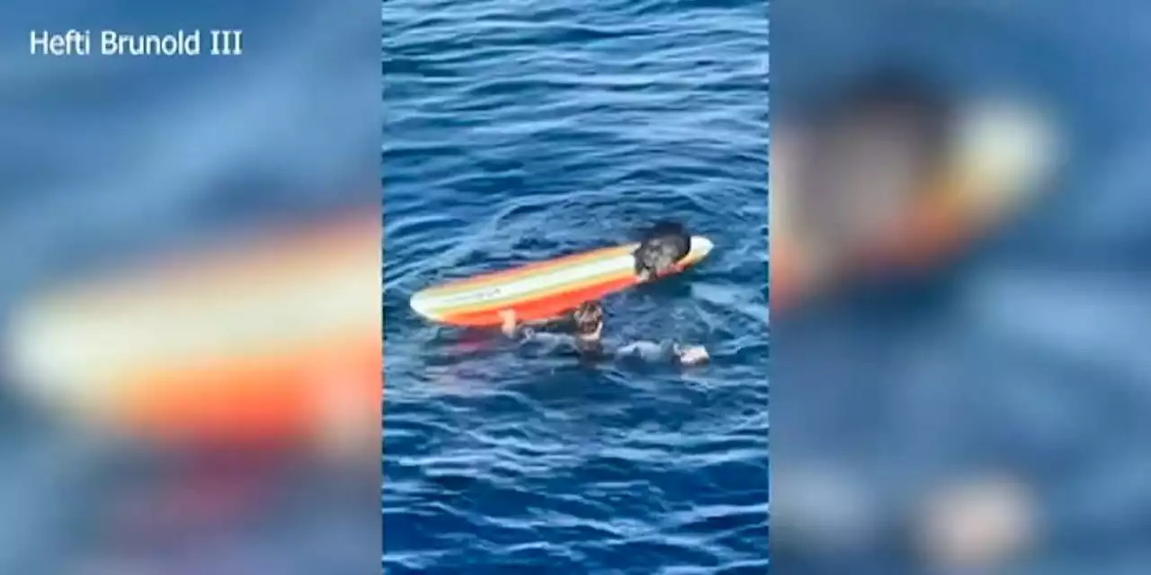 Wildlife officials search for wayward sea otter harassing surfers, kayakers off California coast