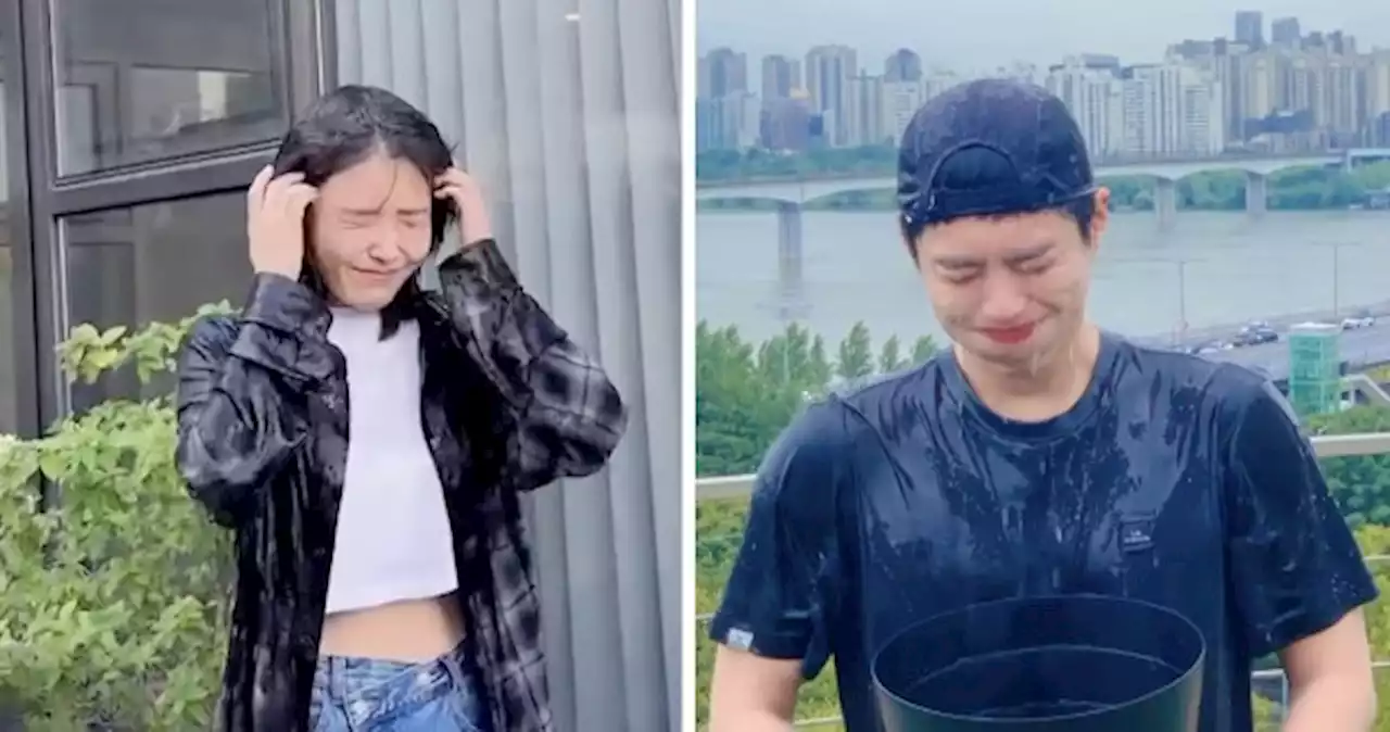 IU, Park Bo-gum, The Boyz's Q: Korean stars do ice bucket challenge to raise funds for new ALS hospital