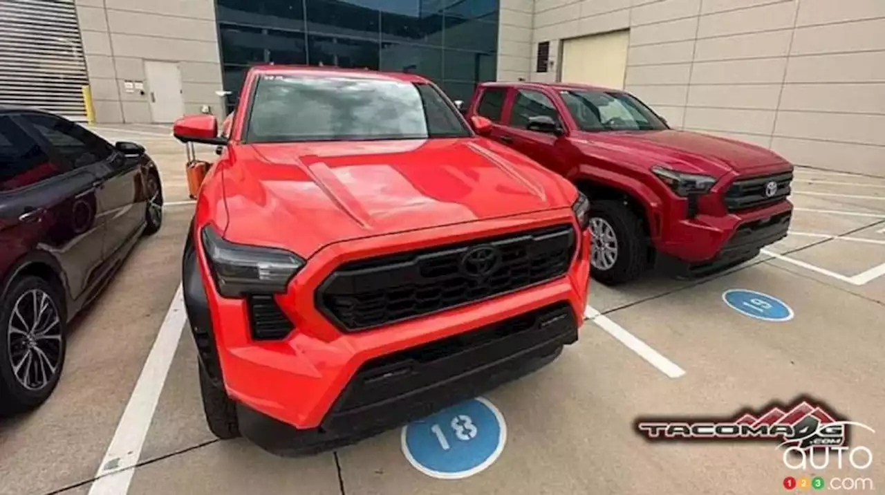 Toyota Tacoma TRD Hors Route 2024 : premier aperçu | Actualités automobile | Auto123