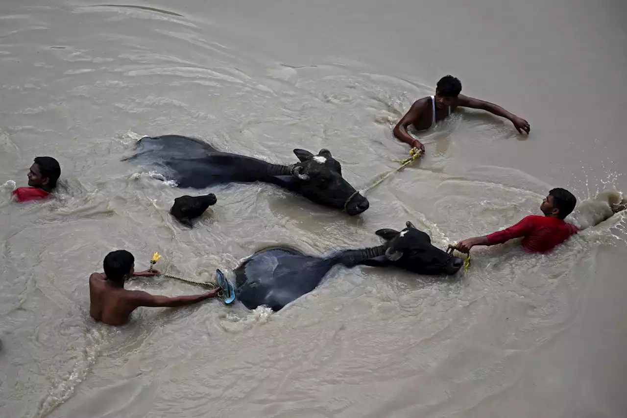 Hochwasser in Indien – Evakuierungen in Delhi angeordnet: Die Monsun-Überschwemmungen in Bildern