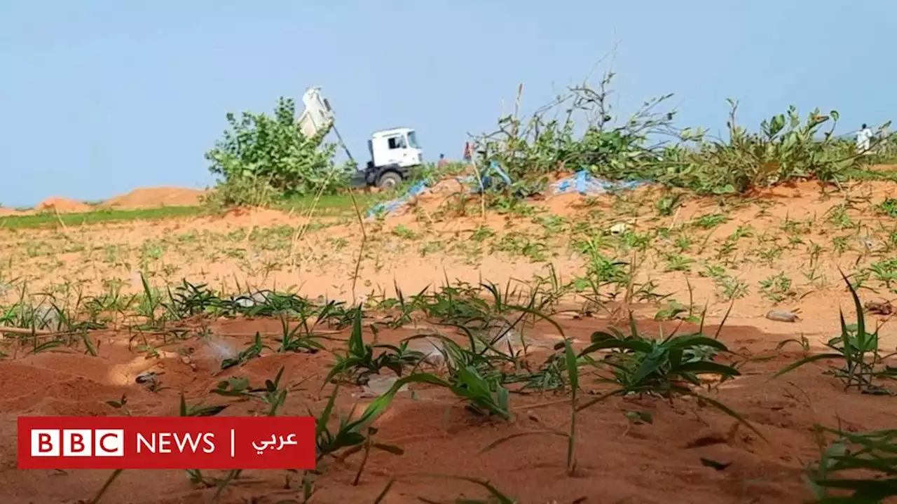 'الحرب في السودان: 'رأيت جثثا ملقاة في مقبرة جماعية في دارفور - BBC News عربي