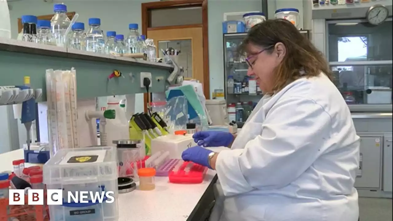 Endometriosis research: University of Hull test could quicken diagnosis