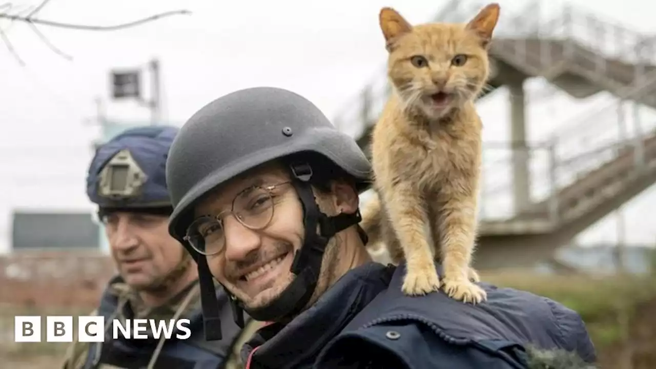 Arman Soldin: Journalist killed in Ukraine given top French honour