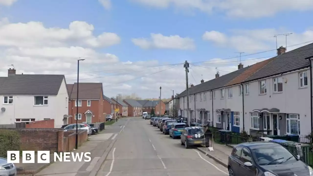 Fighting dog in Coventry Tasered and contained in bin by police