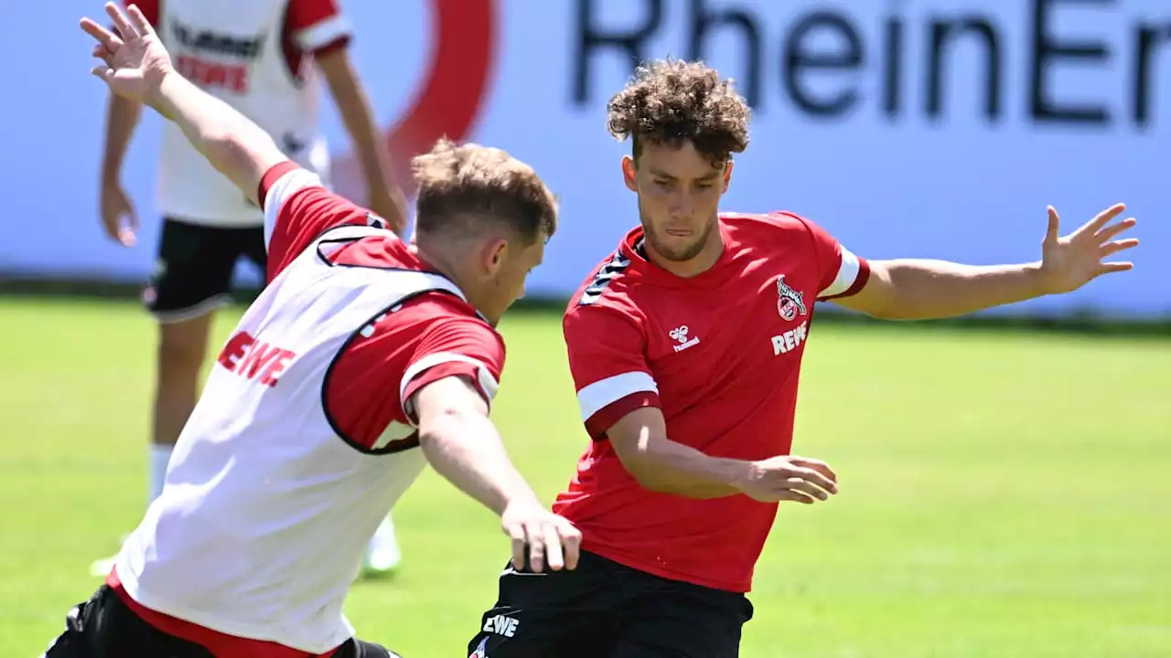 1. FC Köln: Luca Waldschmidt: „Wollte Trainer, der ehrlich ist“