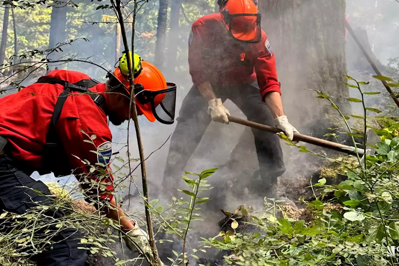 Mount Seymour wildfire 'will not spread anymore'