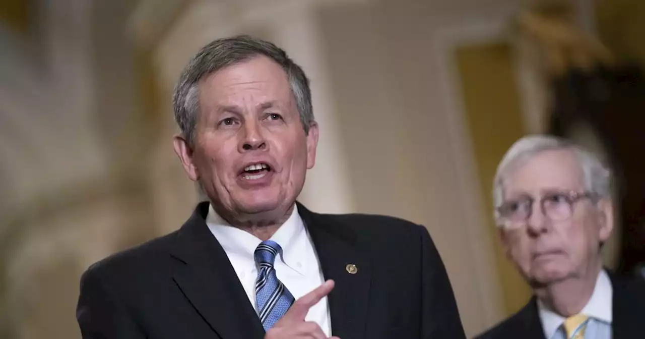 GOP Senate campaign chair Steve Daines plans to focus on getting 'quality' candidates for 2024 primaries