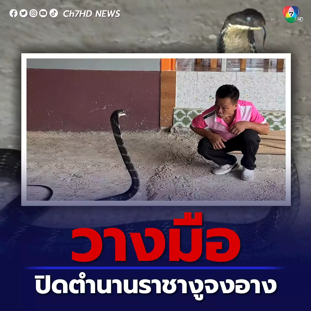 ปิดตำนานราชางูจงอางระดับโลก ประกาศวางมือ